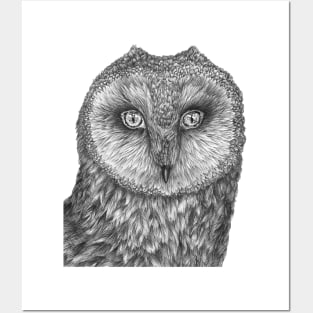 Little Barn Owl Posters and Art